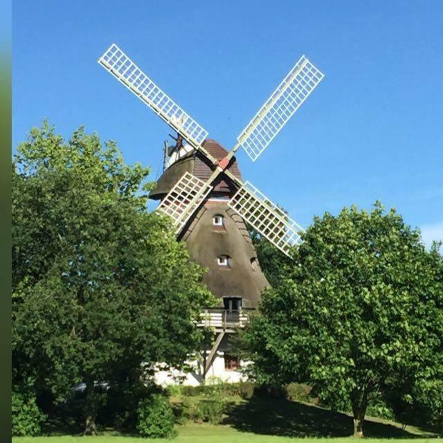 Ferienwohnung Fewo an der Mühle Hasselberg  Exterior foto